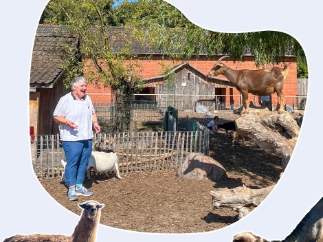 Ferien im TH   Tierpark