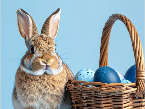 frohe ostern 1